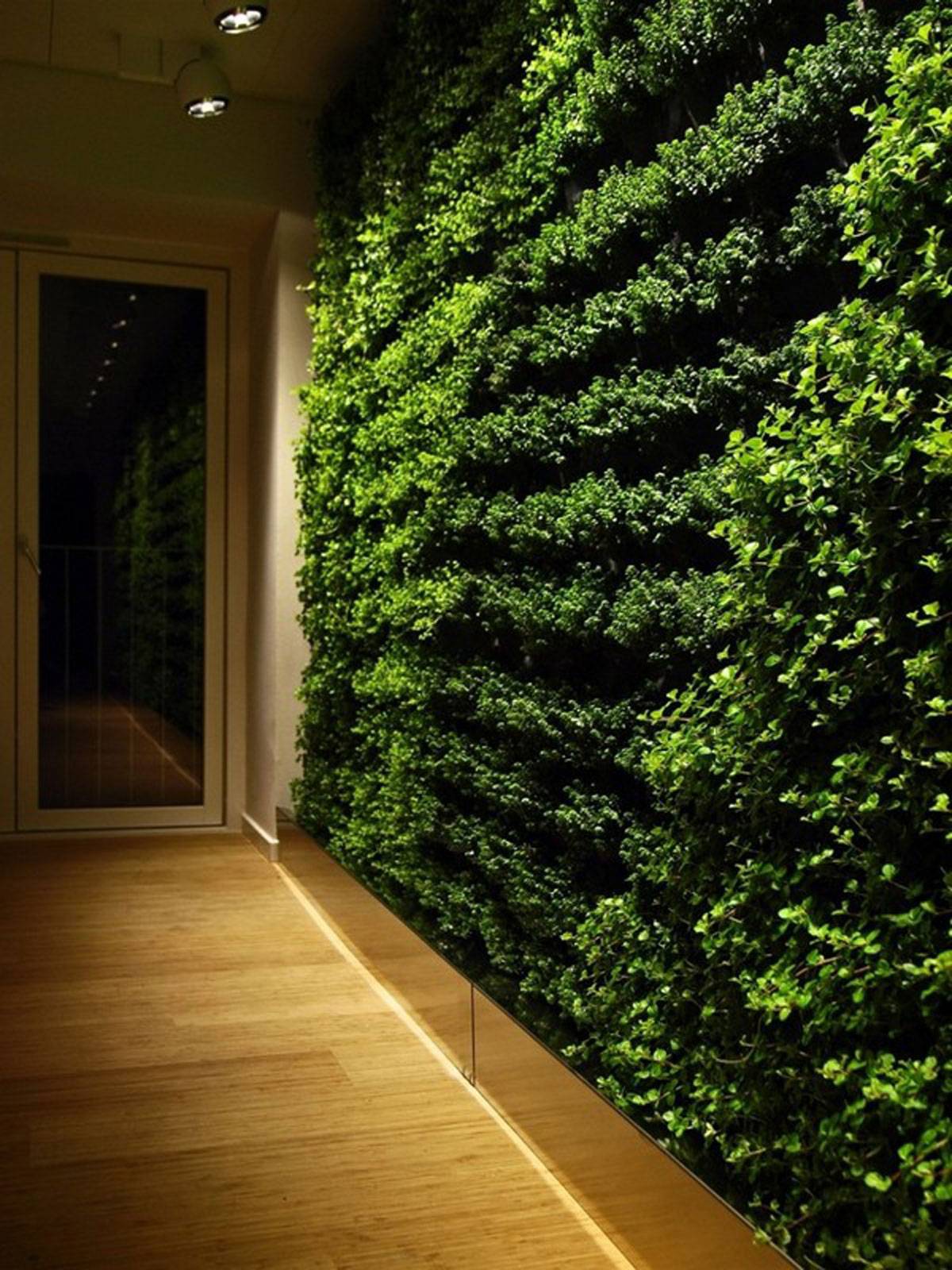 Vertical Garden Ideas