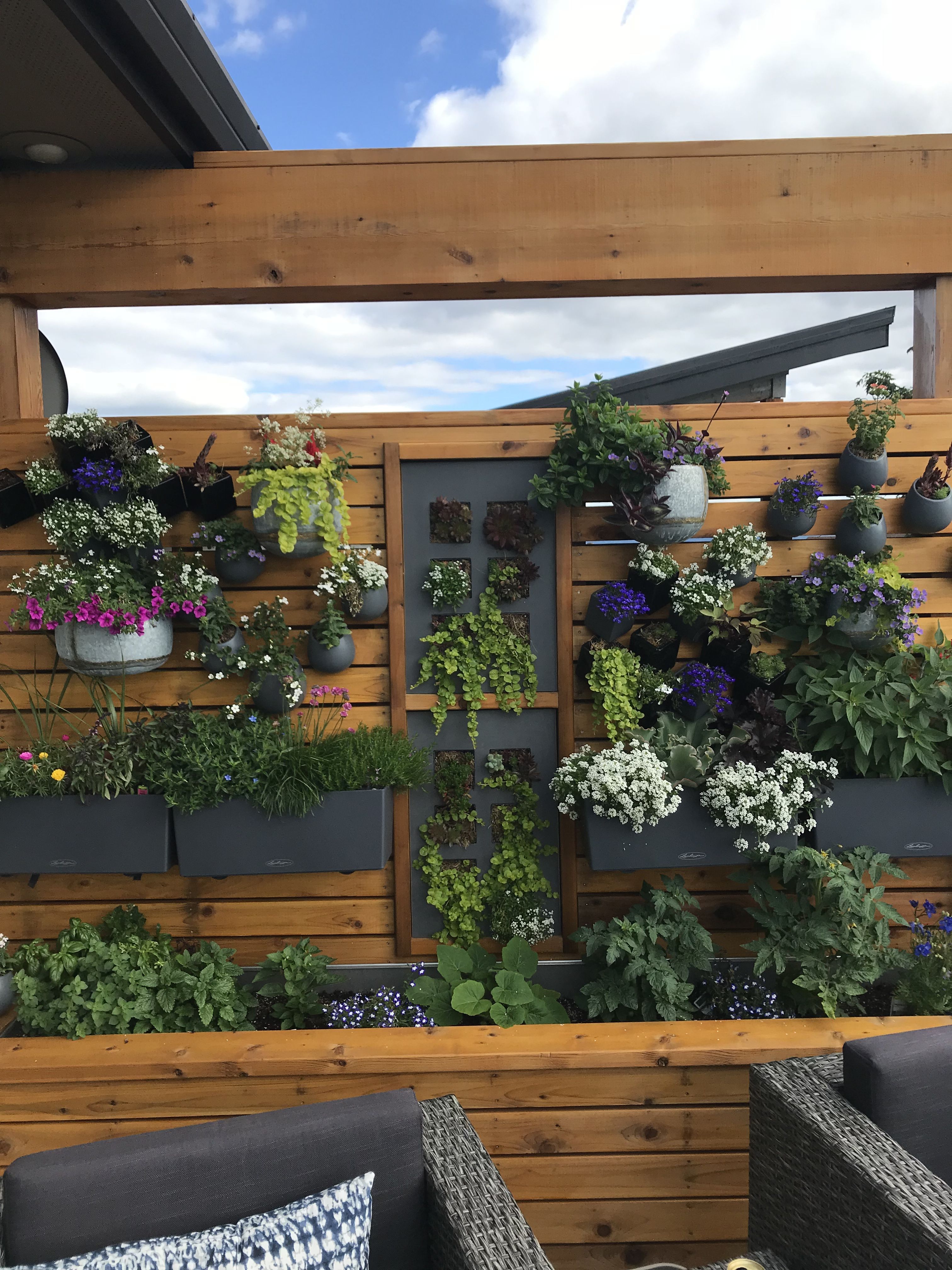 Vertical Vegetable Gardens