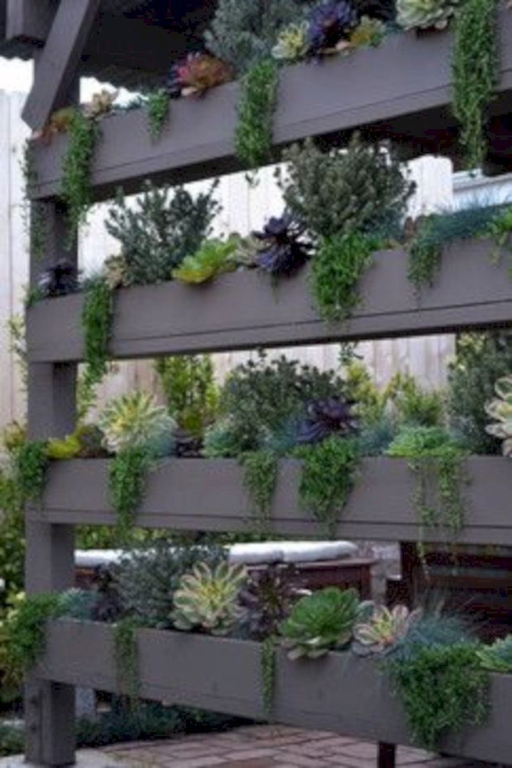 Why Vertical Wall Gardens