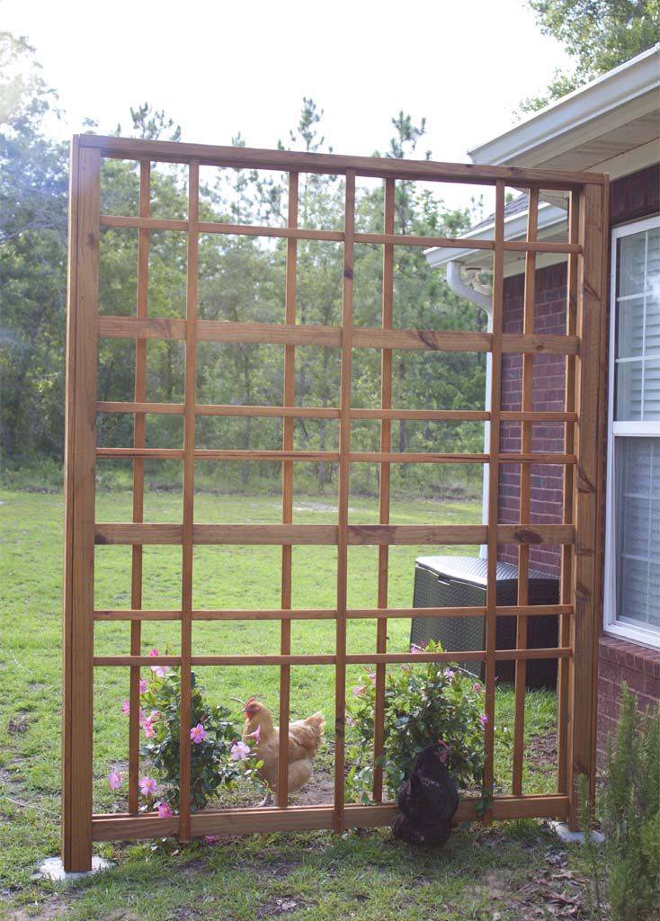 Fabulous Cucumber Trellis Diy Pergolado