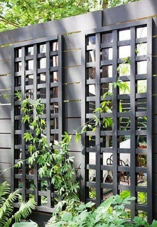 Inspiring Grape Vine Ideas