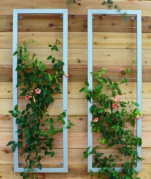 Garden Trellis Ideas