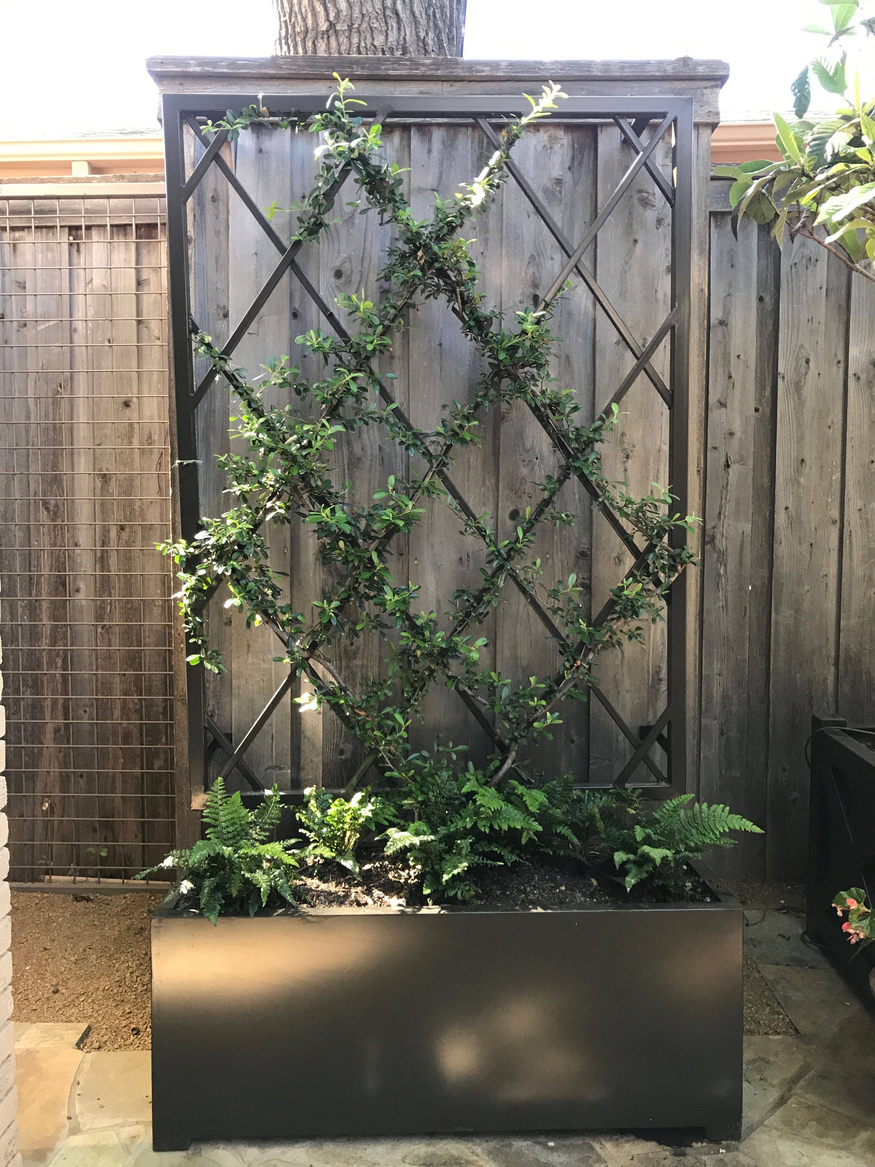 Gardeners Supply Wall Trellis