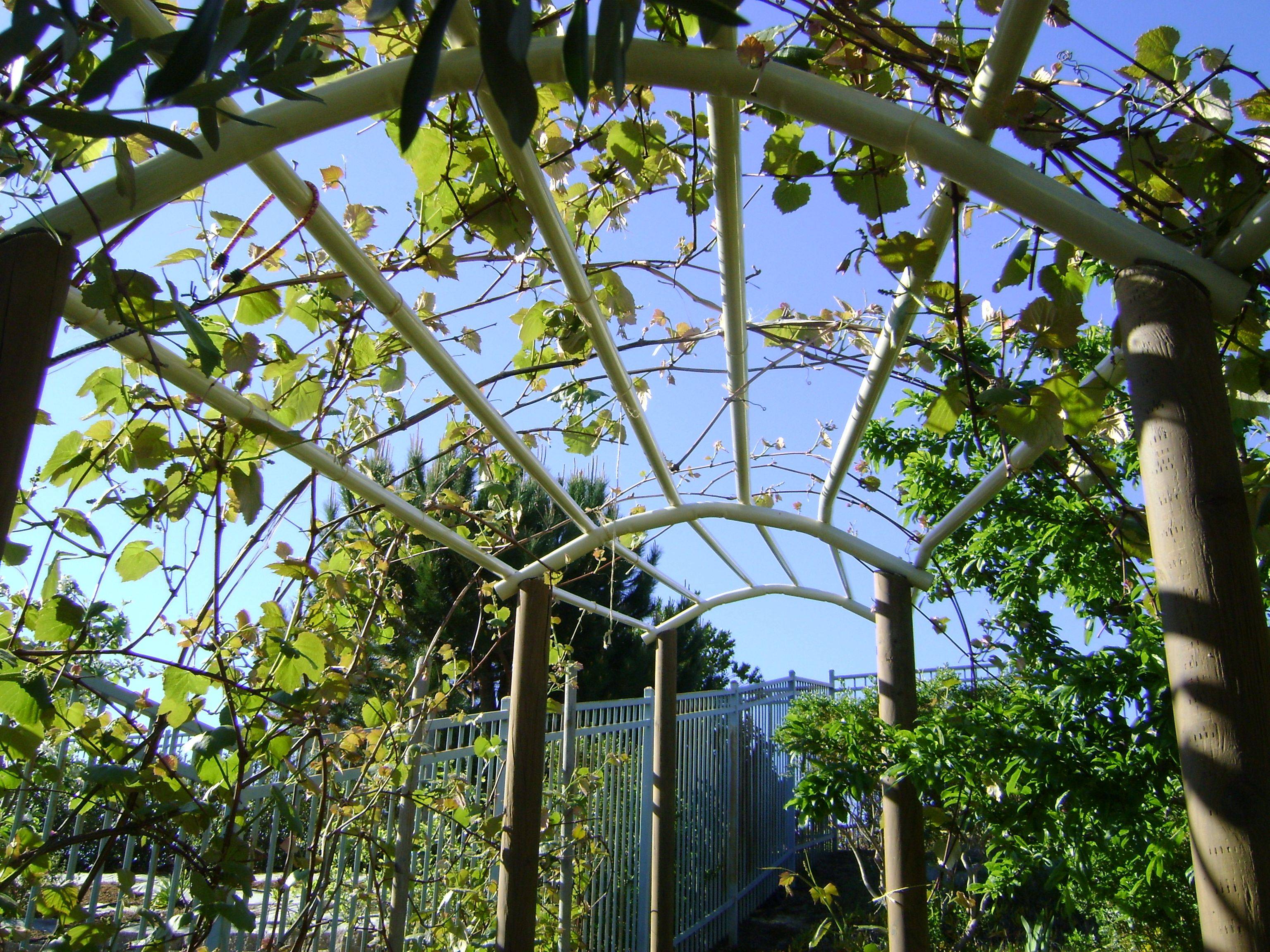 Outsunny Garden Arbor Bench Trellis