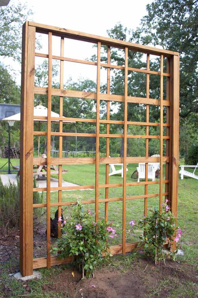 Cool Diy Garden Trellis Ideas Anchordecocom