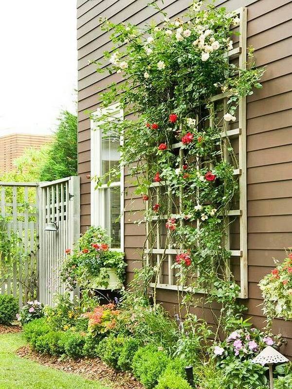 Diy Vertical Trellis Garden Ideas