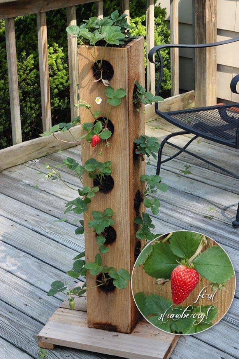 Vertical Indoor Gardening Diy Craft
