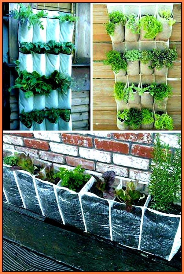 15 Vertical Vegetable Gardening DIY Ideas You Must Look SharonSable