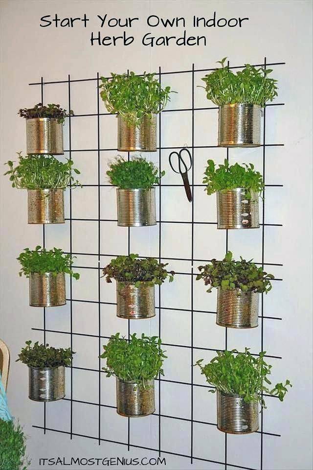 Vertical Indoor Gardening Diy Craft