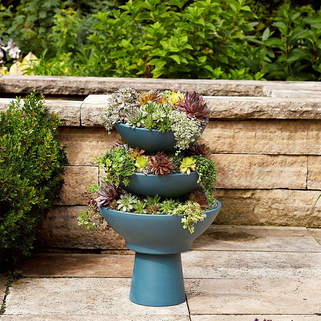 Diy Framed Vertical Succulent Garden Gardens