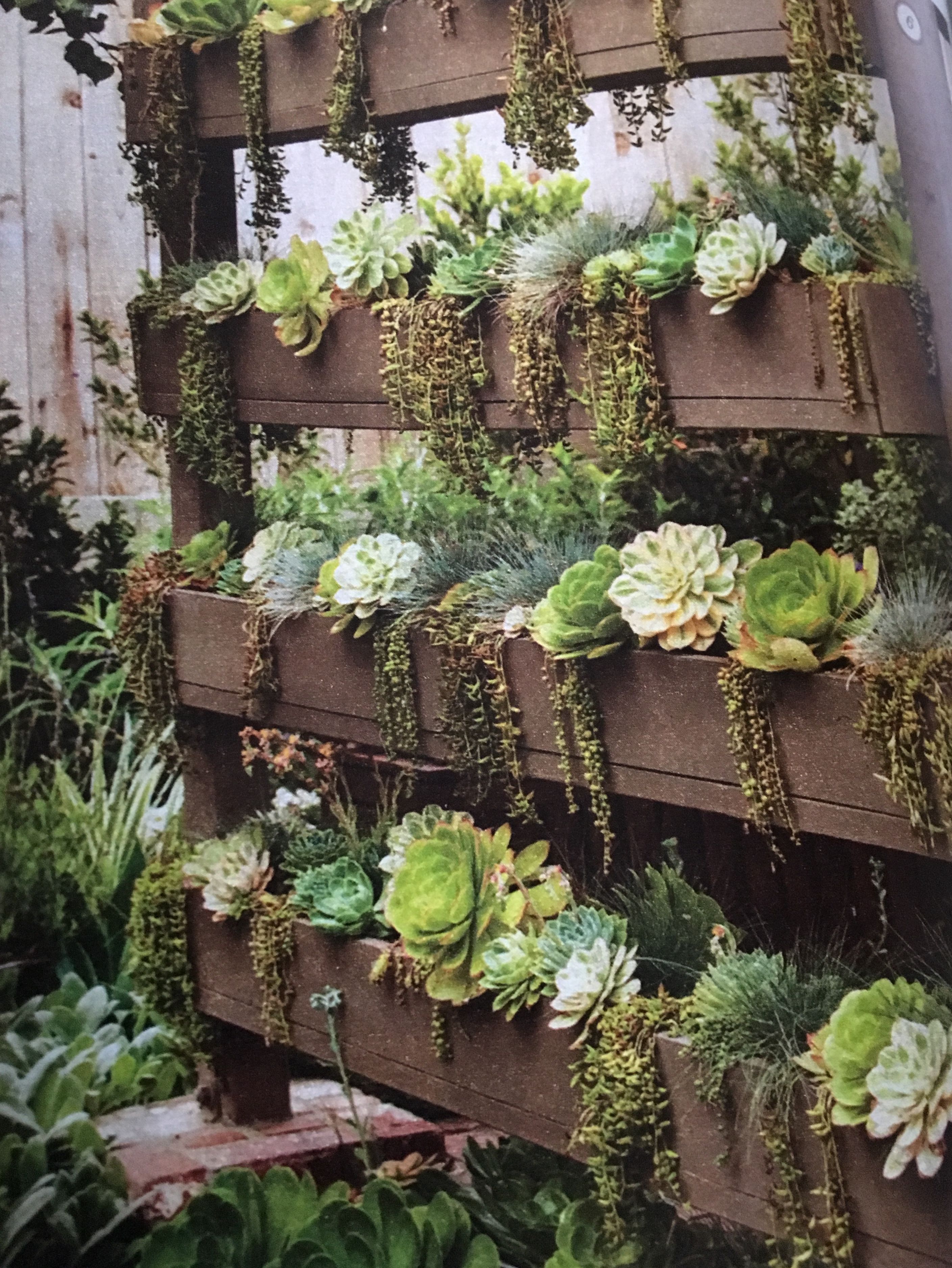 Diy Vertical Succulent Garden