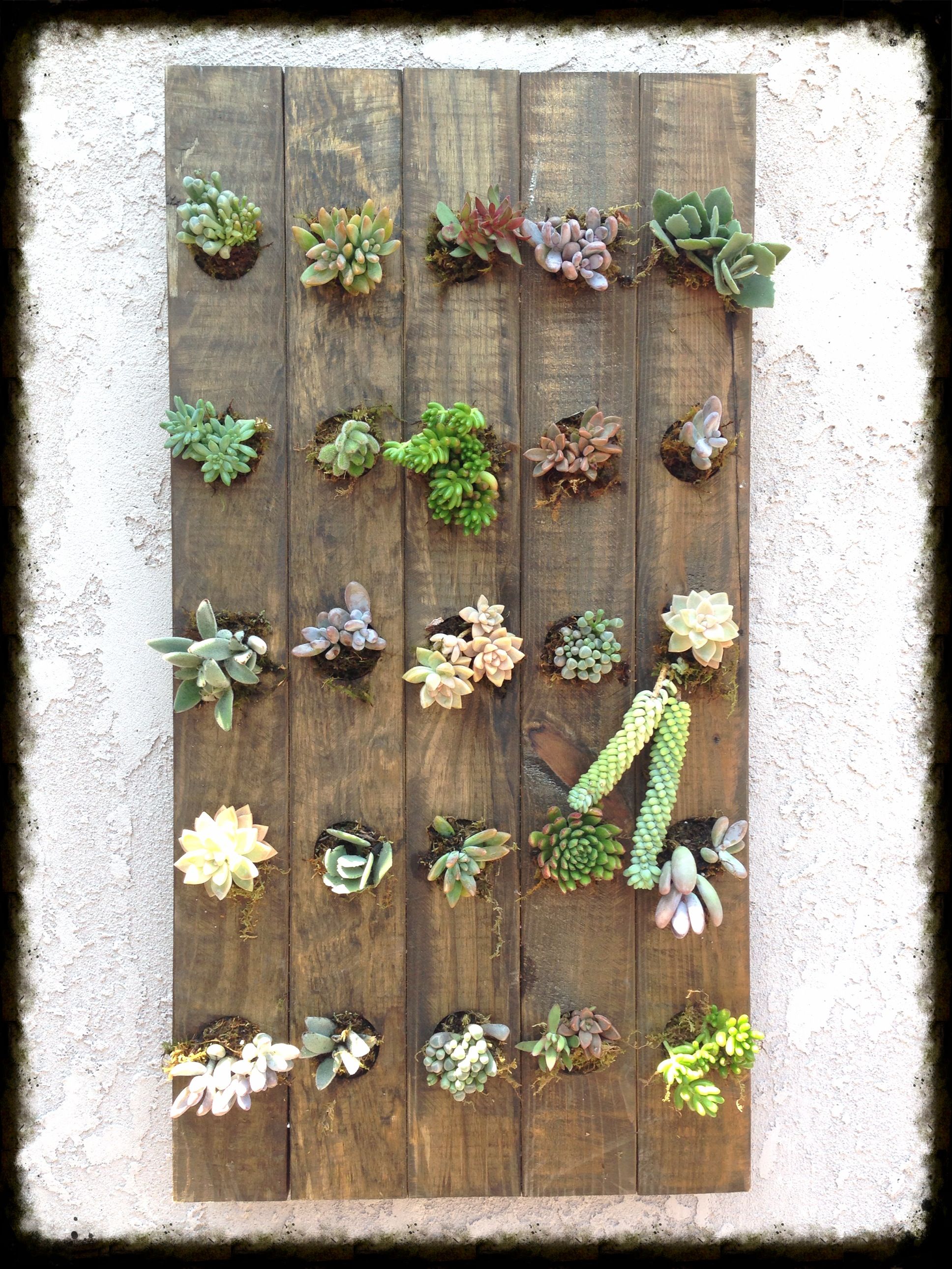 Diy Vertical Succulent Garden