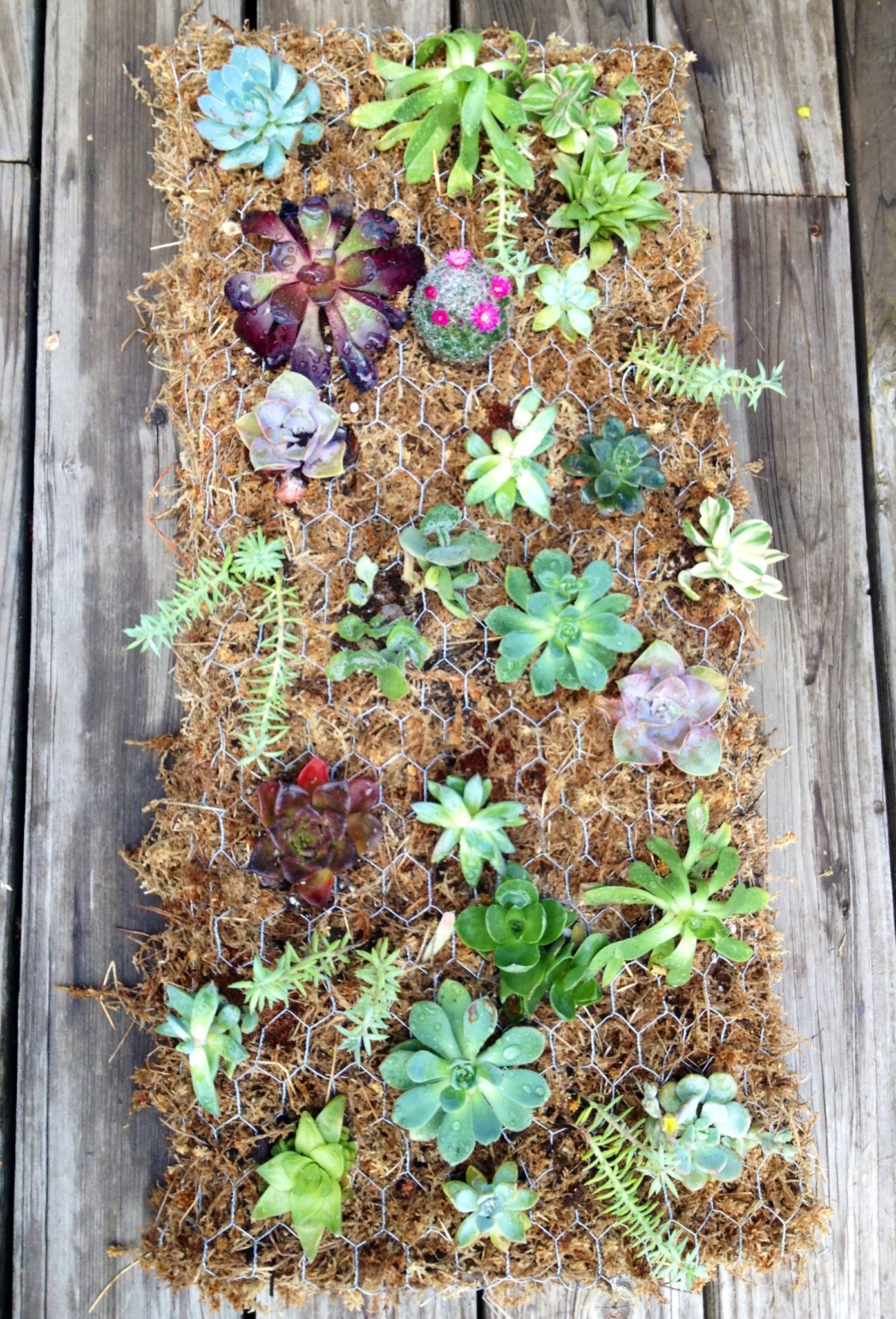 Inspiring Diy Pallet Garden Planter Ideas Decomagz