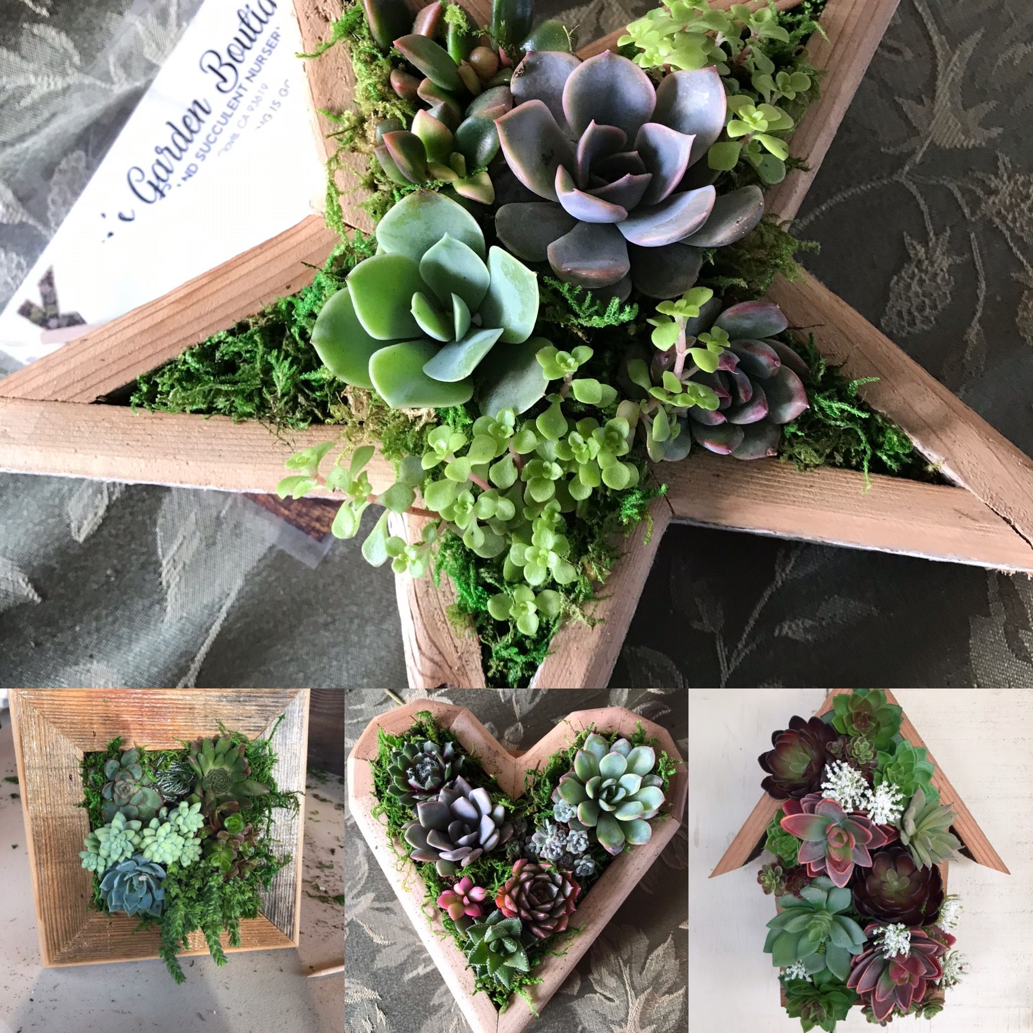 Veronica Parker Zielinski