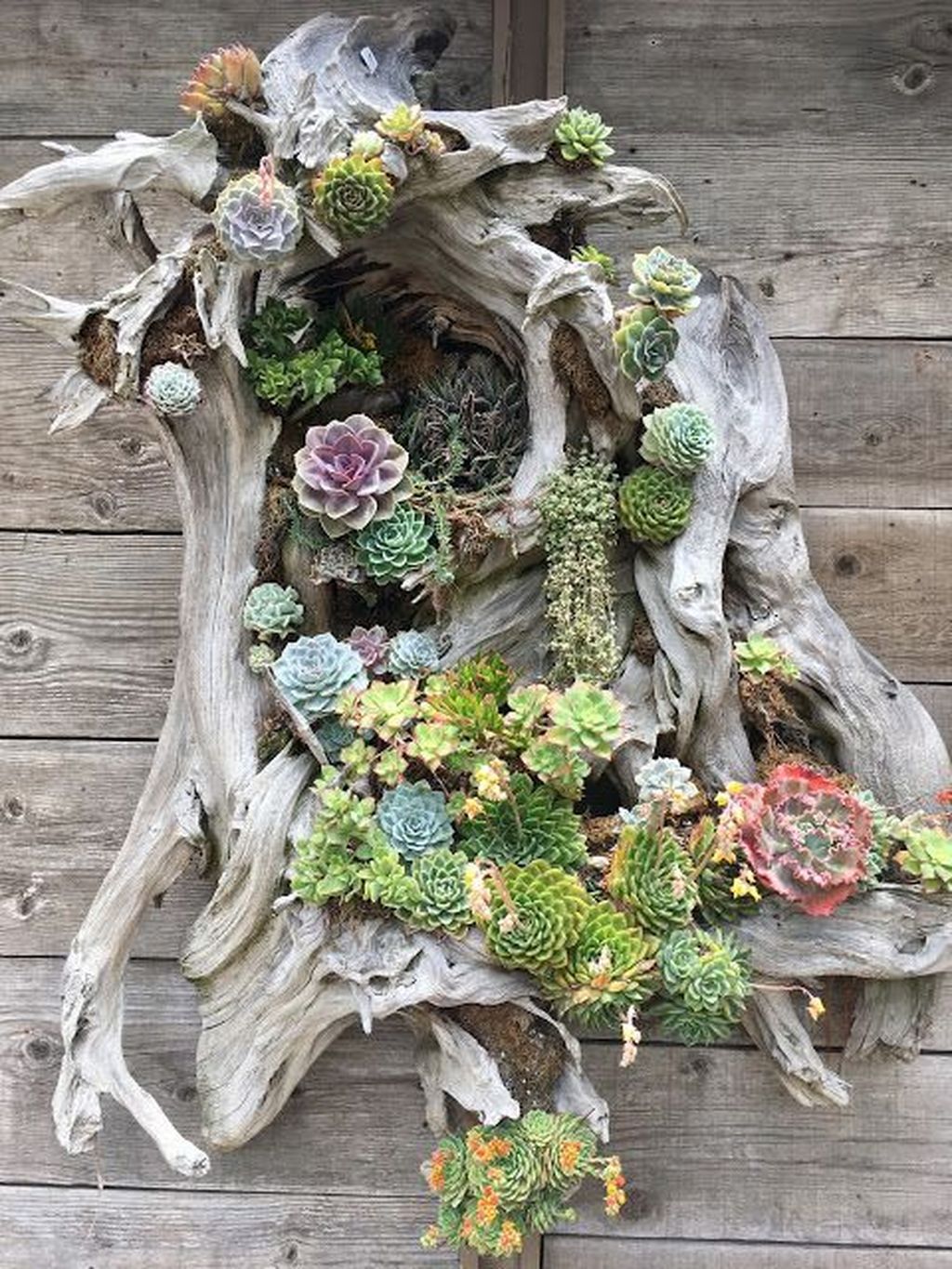 Diy Recycled Pallet Vertical Succulent Garden