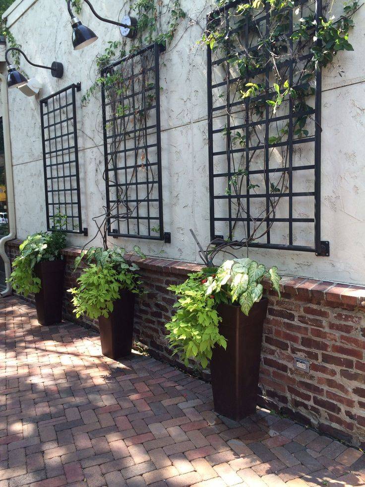 Diy Vertical Garden Wall Ideas