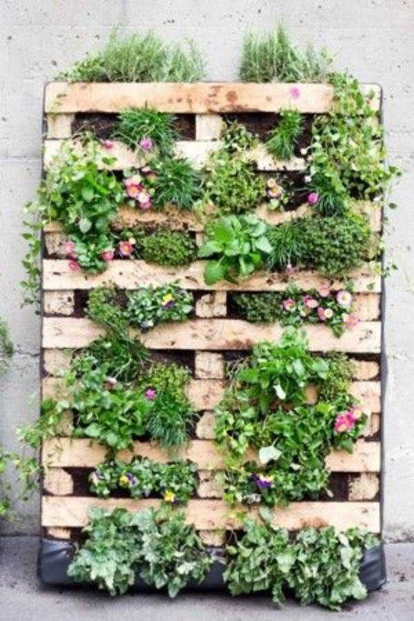 A Vertical Garden
