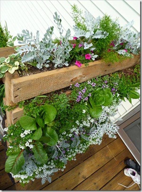 Top Diy Vertical Garden Ideas
