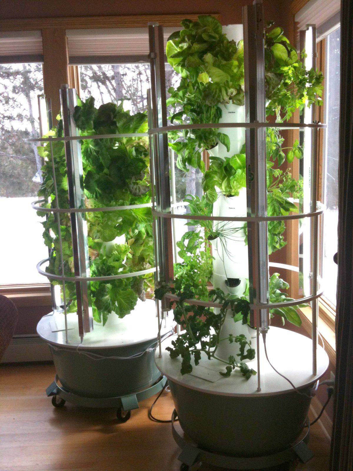 20 Indoor Aeroponic Tower Garden Ideas Worth a Look SharonSable