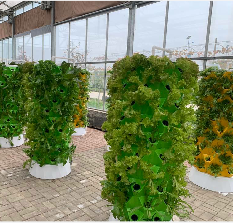 Thump Indoor Tower Garden Aeroponic Systems