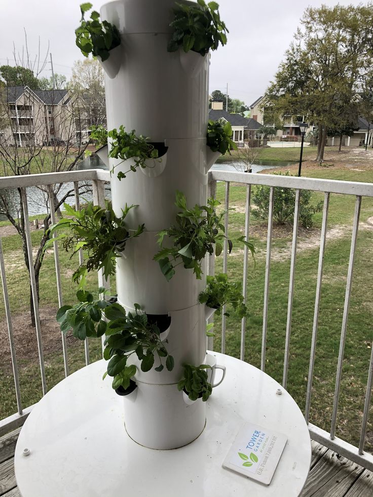 Week Tower Garden Tower Garden