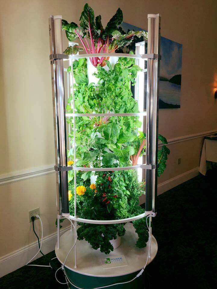 Grow Lights