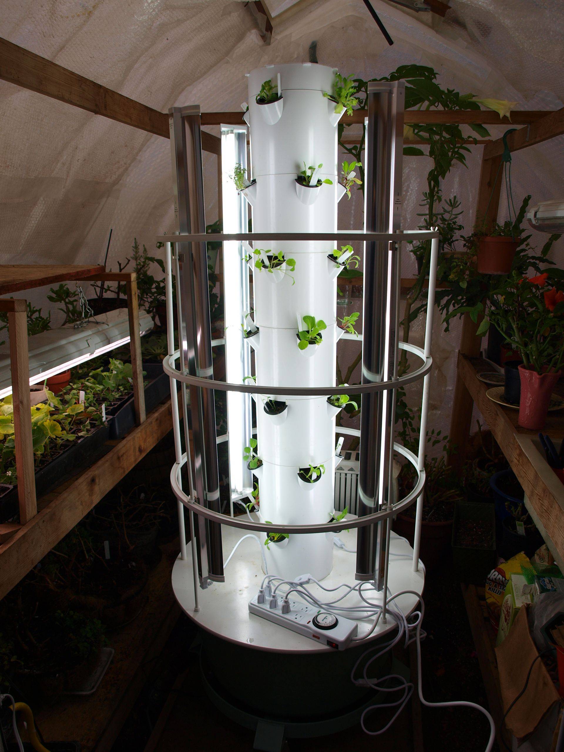Indoor Vertical Gardening