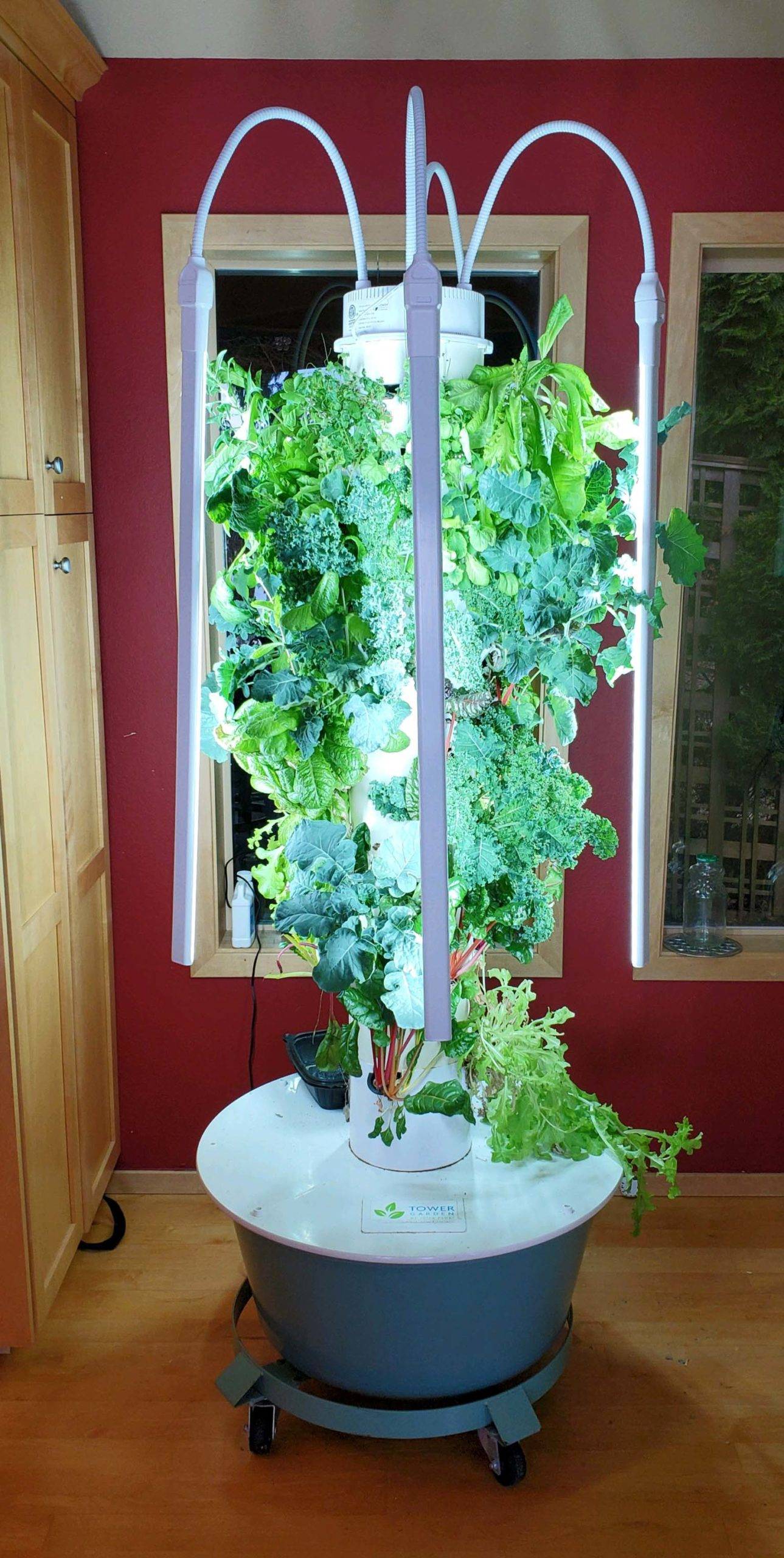 20 Tower Garden with Grow Lights Ideas To Try This Year SharonSable