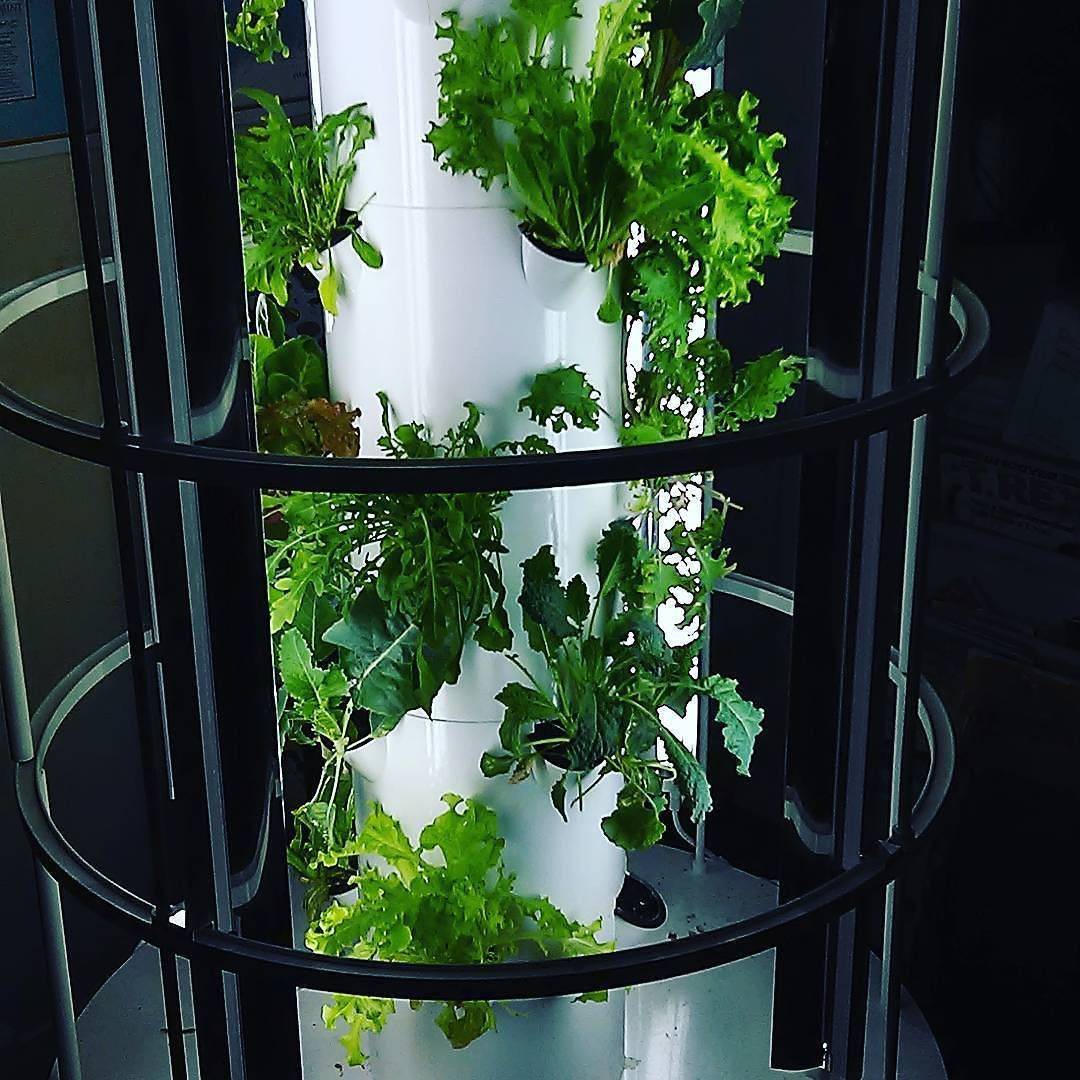 20 Tower Garden with Grow Lights Ideas To Try This Year SharonSable