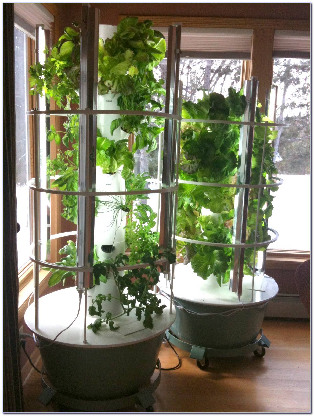 20 Tower Garden with Grow Lights Ideas To Try This Year SharonSable