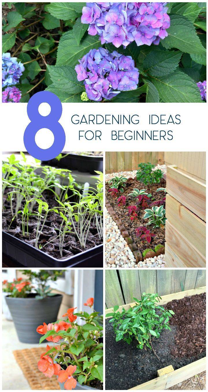 Most Beautiful Easy Gardening Tips