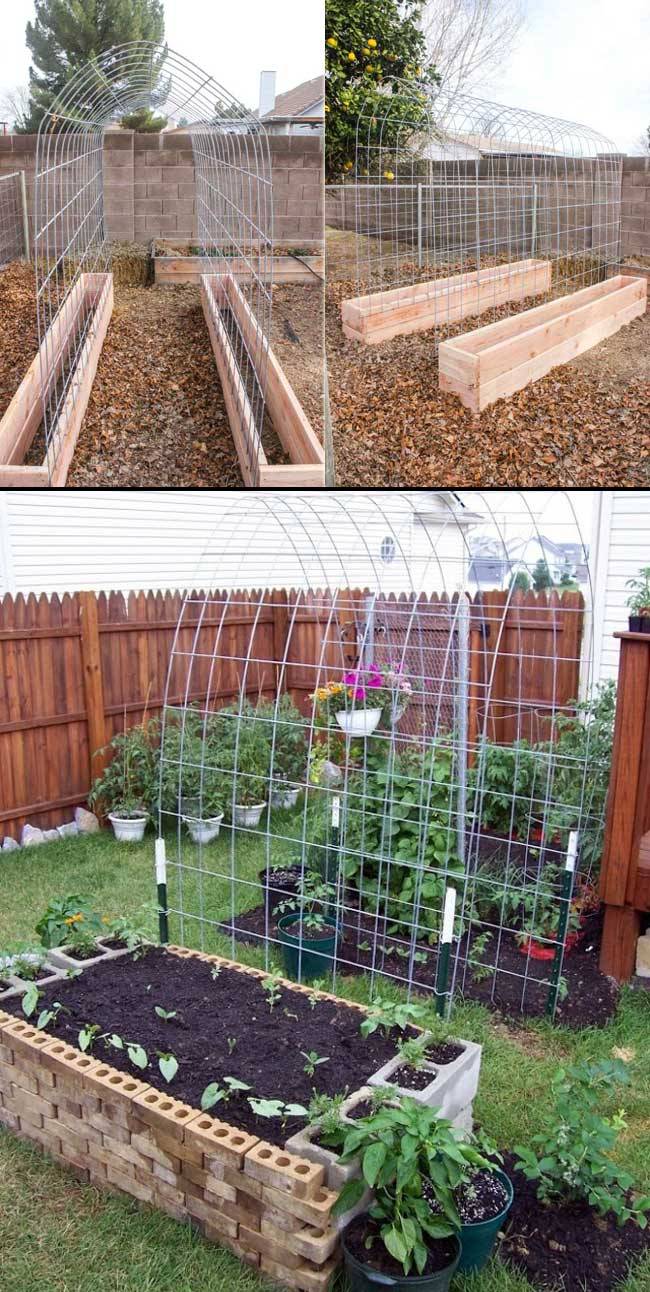 Vegetables Garden Design