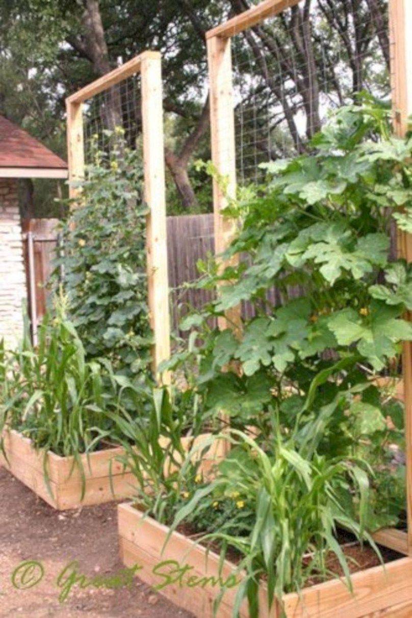 Raised Garden Designs