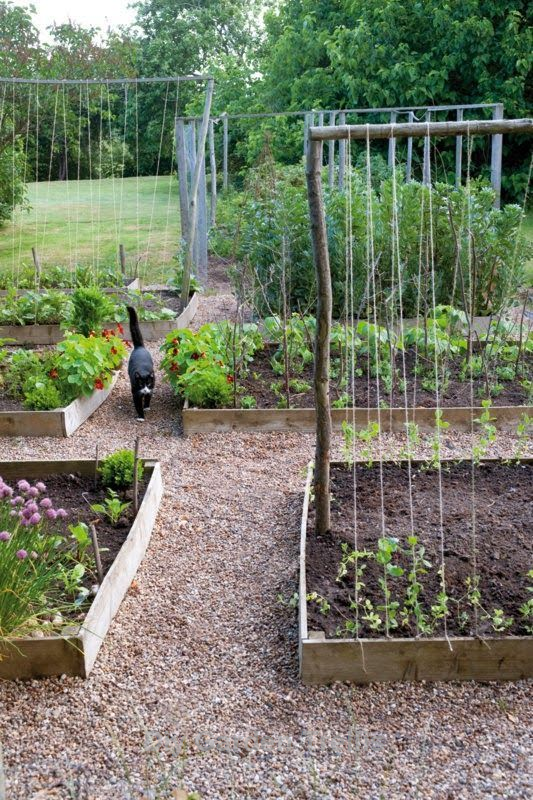 Video Vegetable Garden Diy