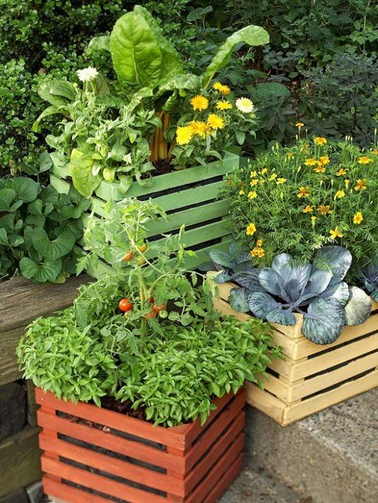 Beautiful And Fresh Vegetable Garden Ideas