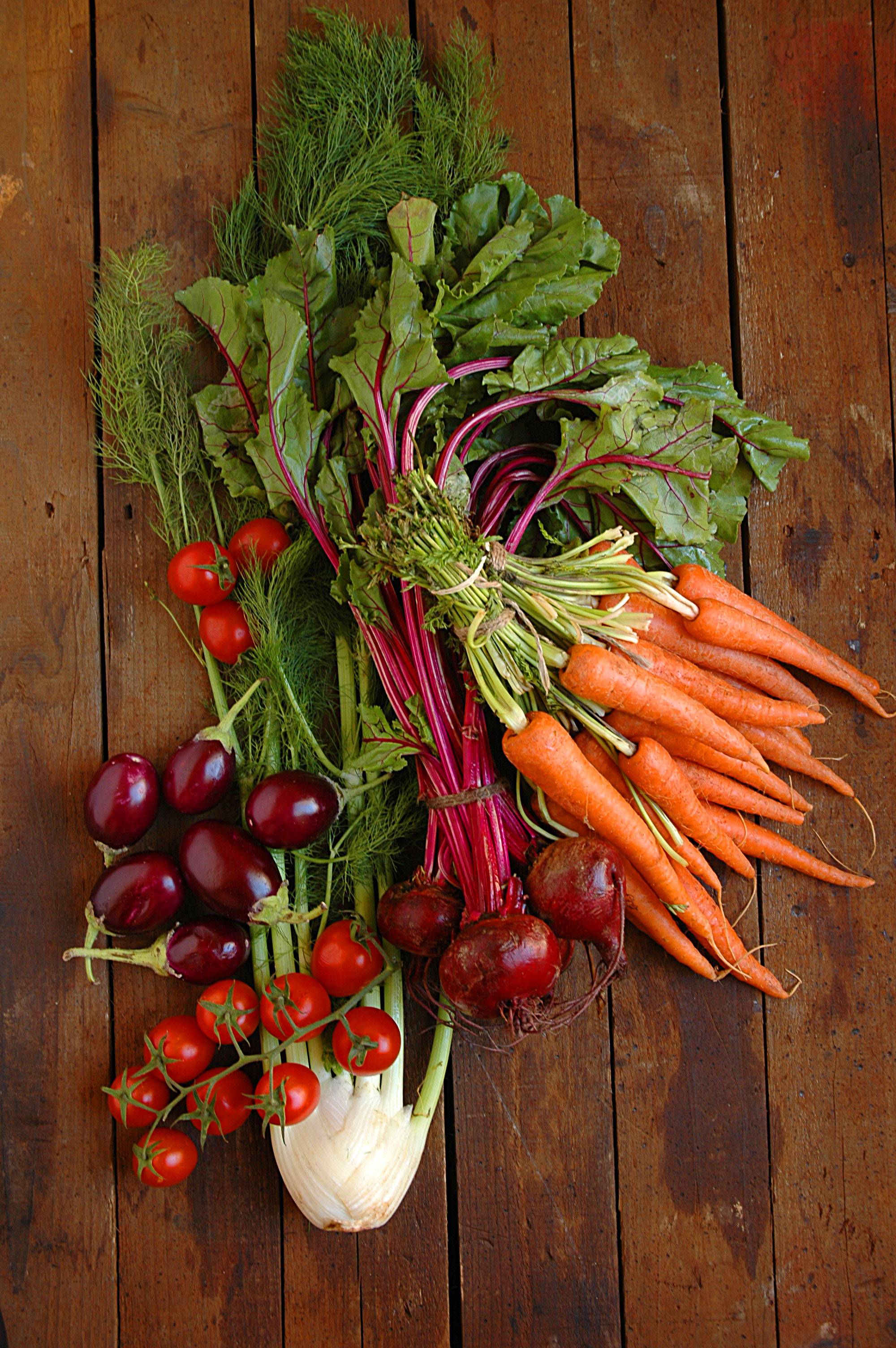 Vegetable Garden Ideas