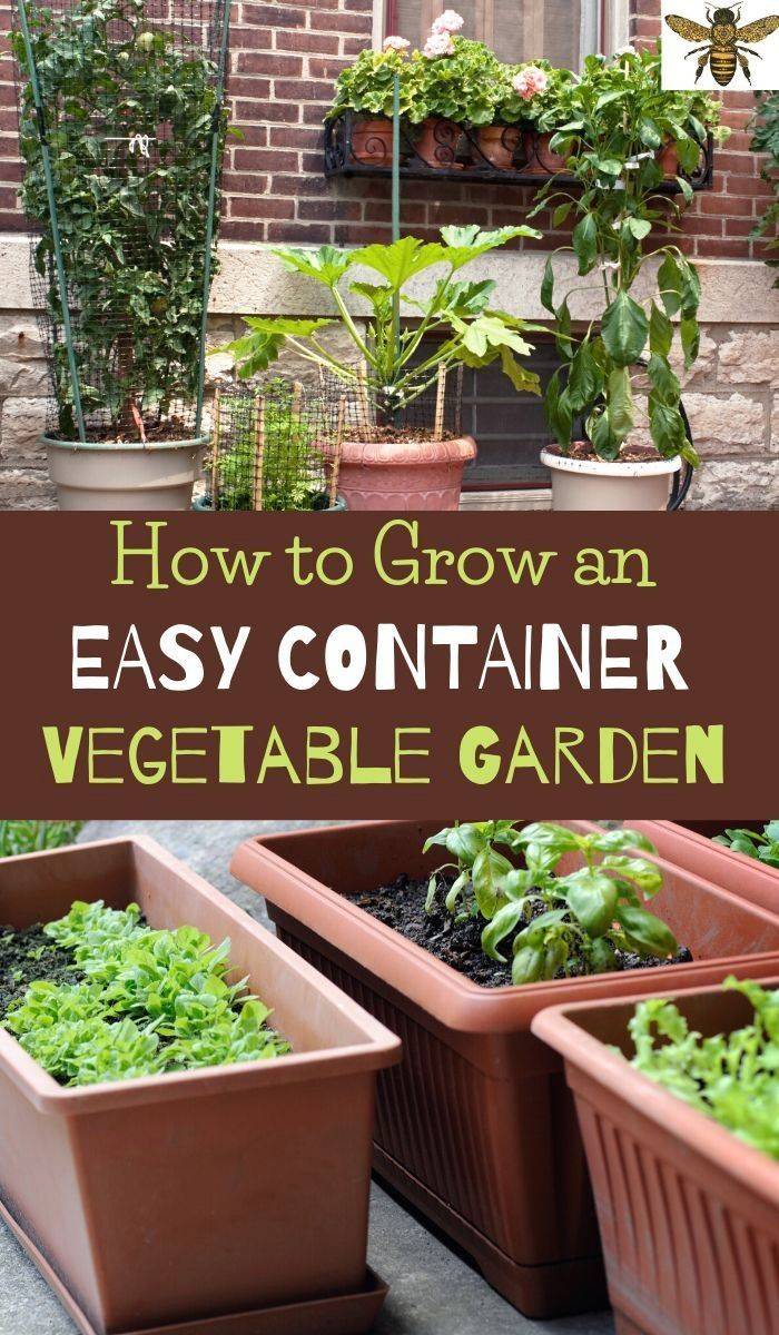 Beautiful Fresh Small Garden Ideas