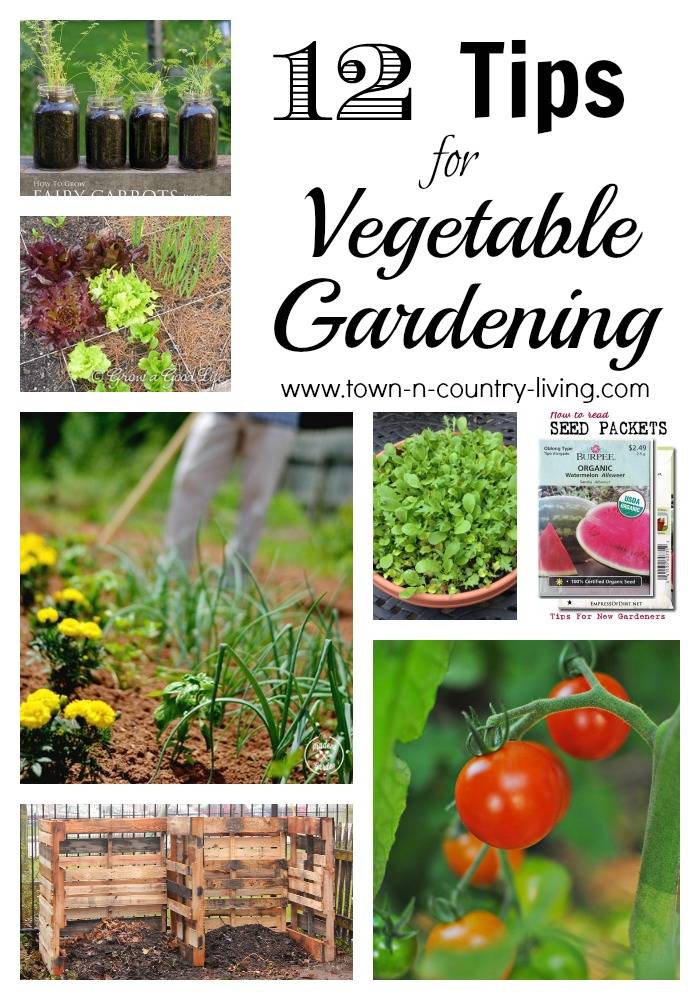 Diy Gardening Hacks Ideas