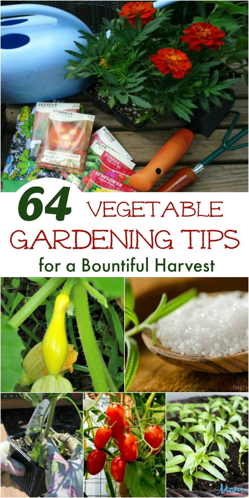 Easy Vegetable Home Gardening Ideas