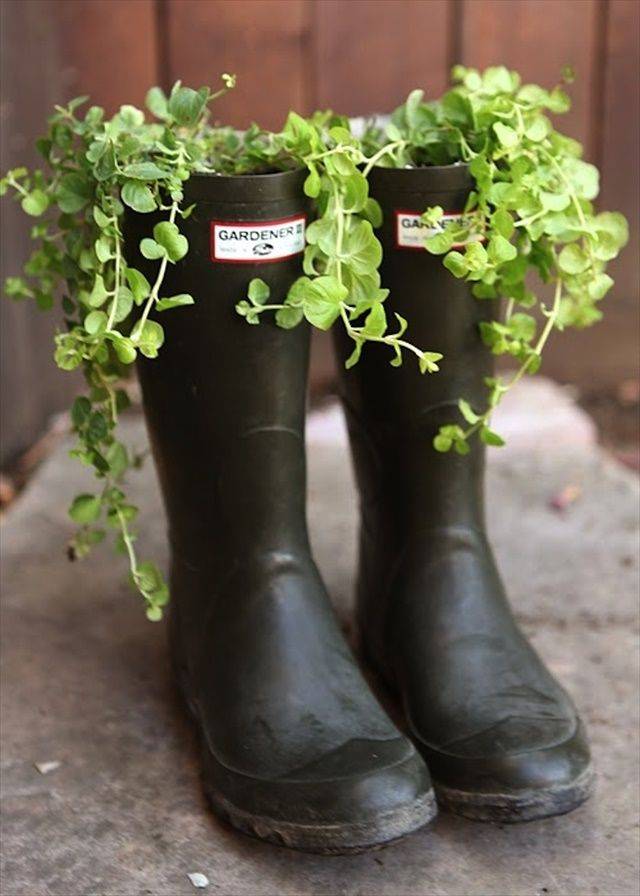 Pinterest Gardens