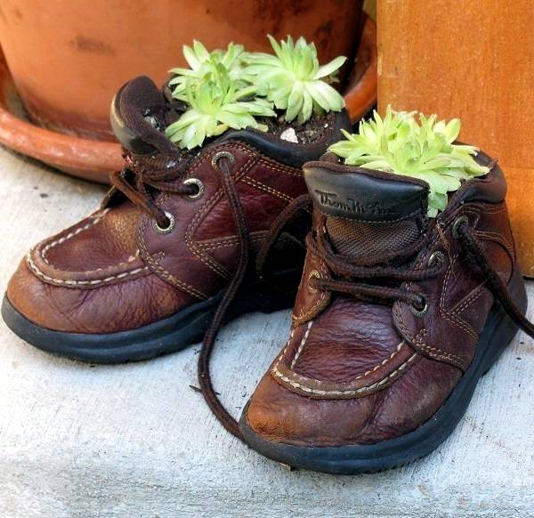 Crocs Garden Fine Gardening
