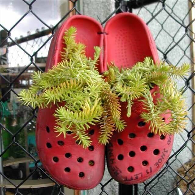 Lol Outdoor