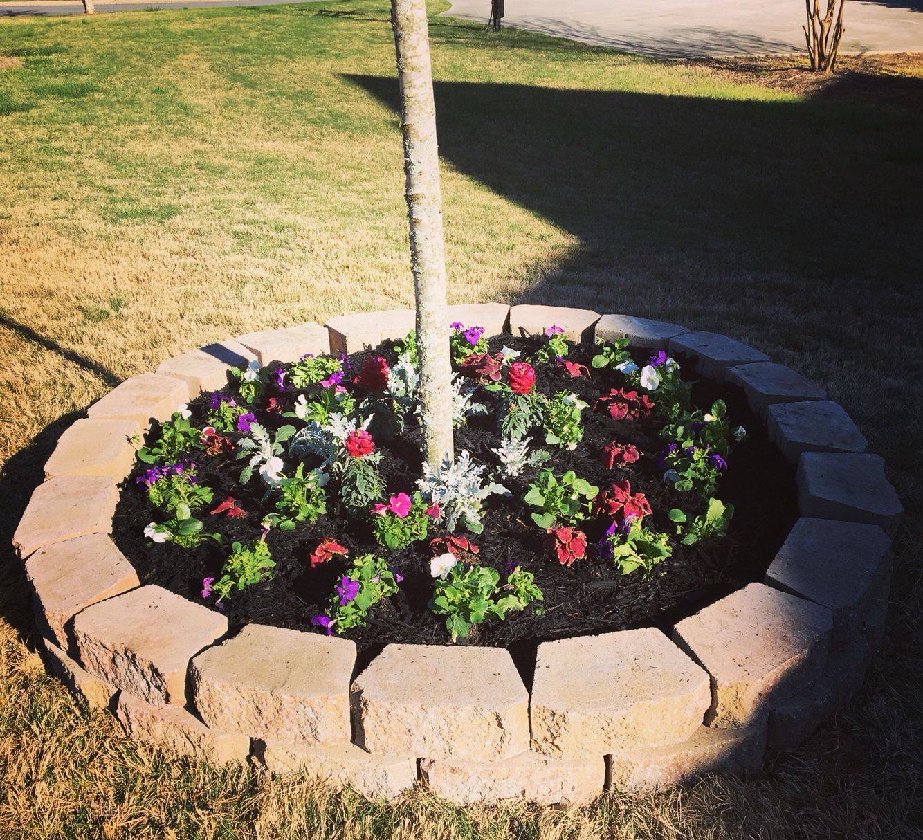 17 Garden Flower Wall Ideas You Must Look SharonSable