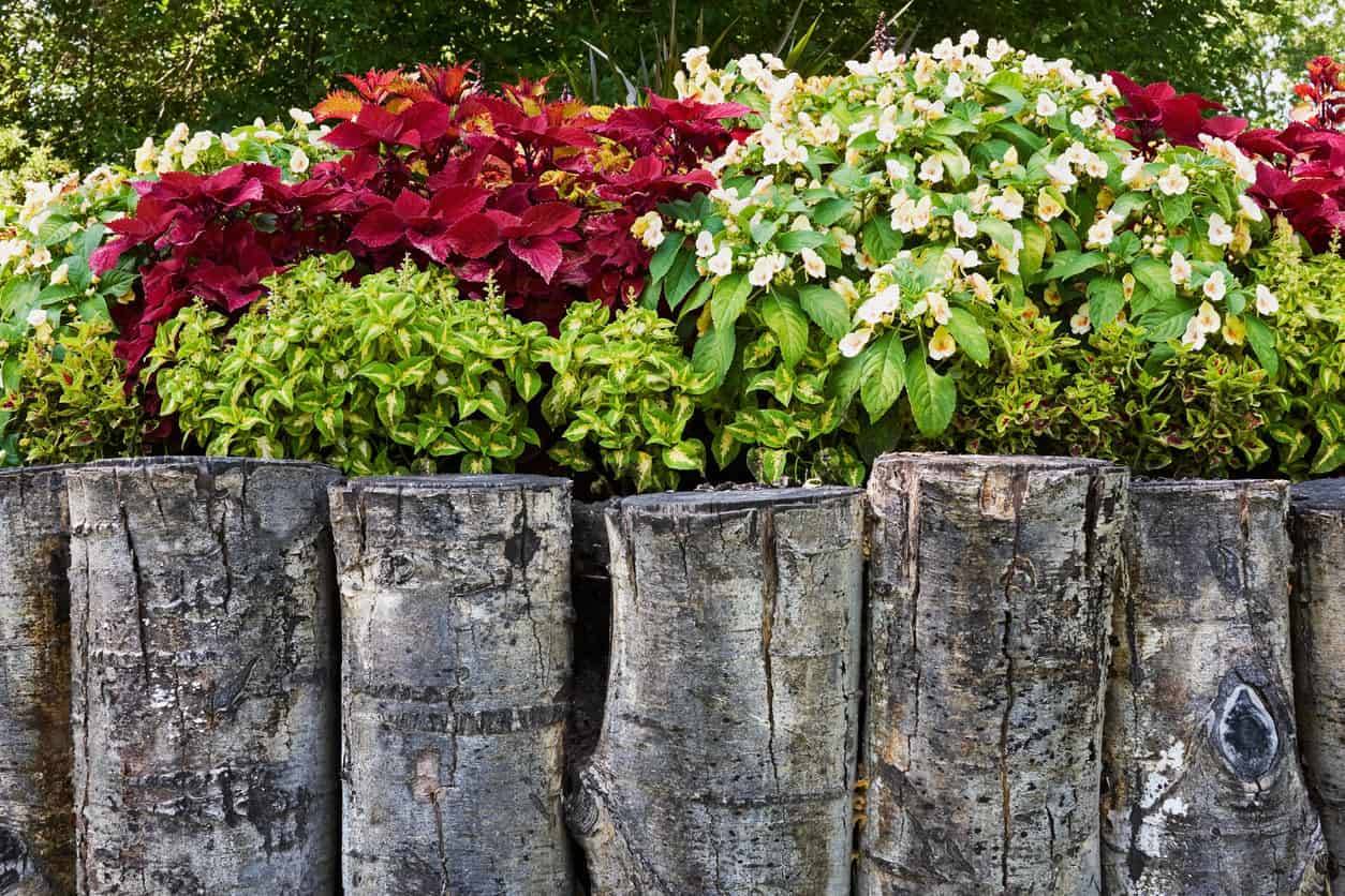 Beautiful Flower Beds Design Ideas