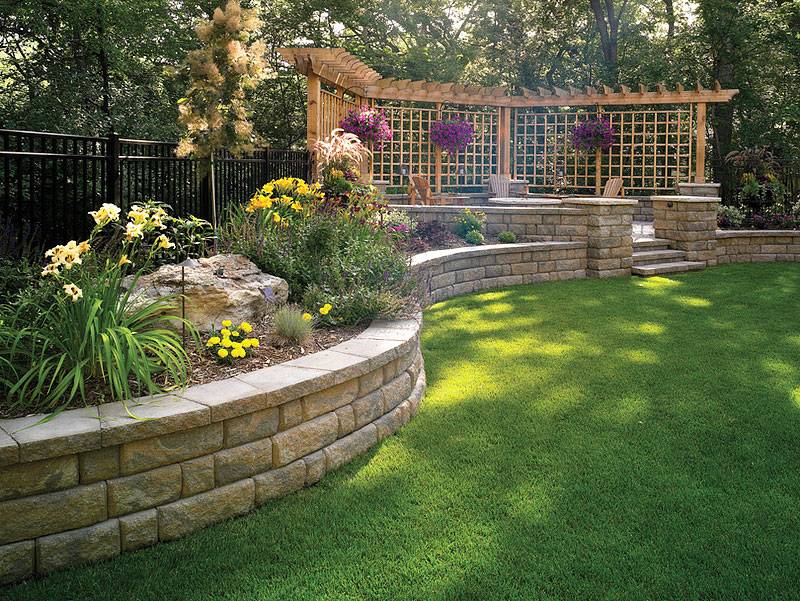 Amazing Privacy Plants