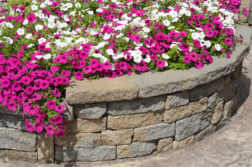 Retaining Wall Raised Flower Garden Ideas Retaining Wall Drawing