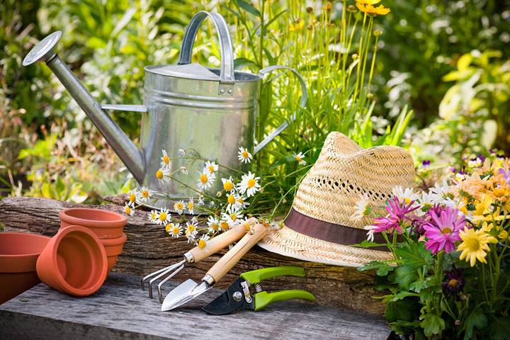 Simple Gardening Tips