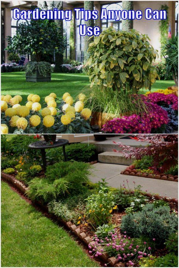 Container Gardening Secrets Salisbury Greenhouse Container