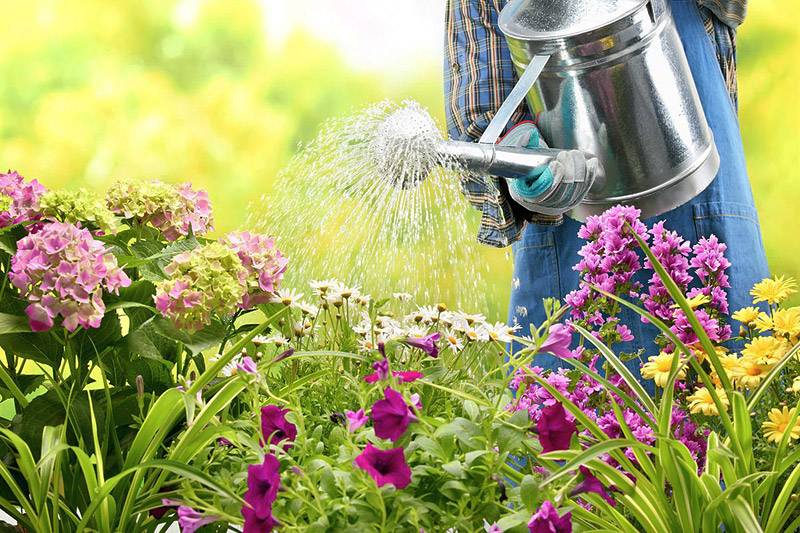 Gardening Secrets Experts