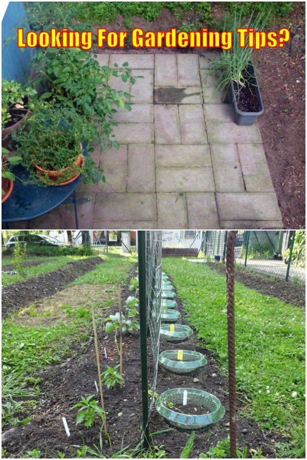 Lanscaping And Gardening Secrets You Must Understand In Garden